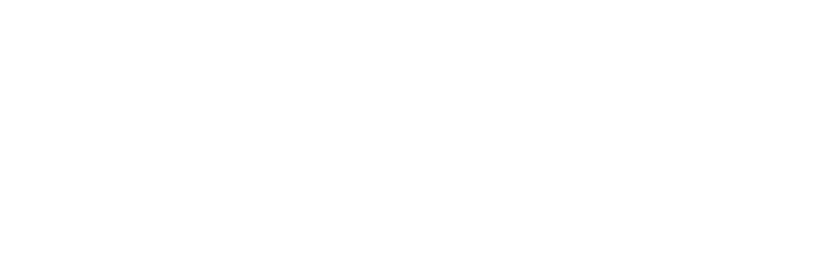Logo von Digital Vitamins in weiß